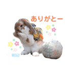 モグ＆むぎのつぶやき（個別スタンプ：6）