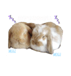 モグ＆むぎのつぶやき（個別スタンプ：7）