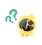 るなプーのスタンプ（個別スタンプ：7）