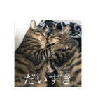 きーとしんば（個別スタンプ：11）