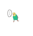 kuuta vlogスタンプ（個別スタンプ：27）