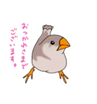 kuuta vlogスタンプ（個別スタンプ：29）