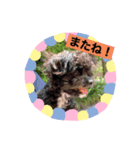 ラクくん2（個別スタンプ：1）