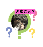 ラクくん2（個別スタンプ：2）