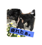 ラクくん2（個別スタンプ：6）