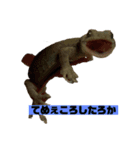 うちのペットのヤモリちゃん（個別スタンプ：1）