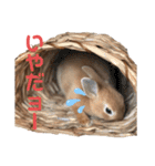 うさぎのモカちゃんスタンプpart4（個別スタンプ：21）