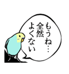 煽ってくるセキセイインコ（個別スタンプ：18）