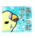 煽ってくるセキセイインコ（個別スタンプ：24）