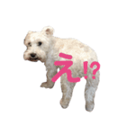 つっこみうーにゃん♡（個別スタンプ：2）