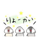 文鳥の銀ちゃん（個別スタンプ：5）