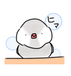 文鳥の銀ちゃん（個別スタンプ：10）