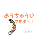 じゅんぺーのむしむしダジャレスタンプ（個別スタンプ：23）