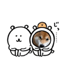 ごんむぎ（柴犬）（個別スタンプ：3）