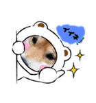 ごんむぎ（柴犬）（個別スタンプ：4）