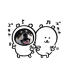 ごんむぎ（柴犬）（個別スタンプ：5）