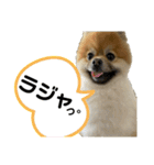 カワバタのゴンスケです。（個別スタンプ：5）