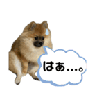 カワバタのゴンスケです。（個別スタンプ：15）