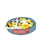 レオパードゲッコー ハイイエロー（個別スタンプ：11）
