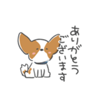 犬語ずかん【パピヨン夏編】（個別スタンプ：2）