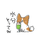 犬語ずかん【パピヨン夏編】（個別スタンプ：7）