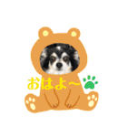 ぷーちゃんは不機嫌？！（個別スタンプ：1）