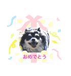 ぷーちゃんは不機嫌？！（個別スタンプ：5）
