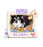 ぷーちゃんは不機嫌？！（個別スタンプ：6）
