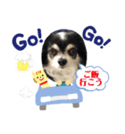 ぷーちゃんは不機嫌？！（個別スタンプ：14）