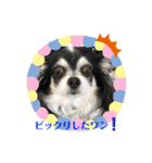 ぷーちゃんは不機嫌？！（個別スタンプ：20）