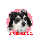 ぷーちゃんは不機嫌？！（個別スタンプ：22）