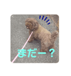.りんちゃんのスタンプ.（個別スタンプ：5）