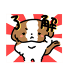 【大人かわいい】シーズー犬スタンプ☆（個別スタンプ：3）