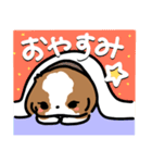 【大人かわいい】シーズー犬スタンプ☆（個別スタンプ：4）