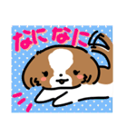 【大人かわいい】シーズー犬スタンプ☆（個別スタンプ：6）