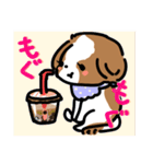 【大人かわいい】シーズー犬スタンプ☆（個別スタンプ：8）