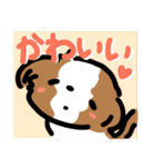 【大人かわいい】シーズー犬スタンプ☆（個別スタンプ：9）