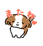 【大人かわいい】シーズー犬スタンプ☆（個別スタンプ：10）