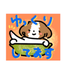 【大人かわいい】シーズー犬スタンプ☆（個別スタンプ：13）