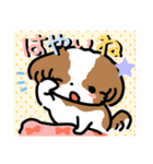 【大人かわいい】シーズー犬スタンプ☆（個別スタンプ：15）