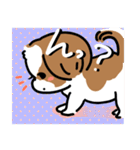 【大人かわいい】シーズー犬スタンプ☆（個別スタンプ：16）