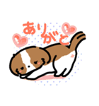 【大人かわいい】シーズー犬スタンプ☆（個別スタンプ：18）