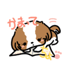 【大人かわいい】シーズー犬スタンプ☆（個別スタンプ：19）