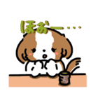 【大人かわいい】シーズー犬スタンプ☆（個別スタンプ：22）