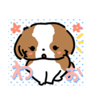 【大人かわいい】シーズー犬スタンプ☆（個別スタンプ：24）