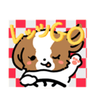 【大人かわいい】シーズー犬スタンプ☆（個別スタンプ：25）