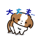 【大人かわいい】シーズー犬スタンプ☆（個別スタンプ：26）