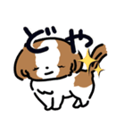 【大人かわいい】シーズー犬スタンプ☆（個別スタンプ：30）