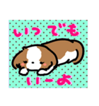 【大人かわいい】シーズー犬スタンプ☆（個別スタンプ：31）