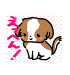 【大人かわいい】シーズー犬スタンプ☆（個別スタンプ：37）